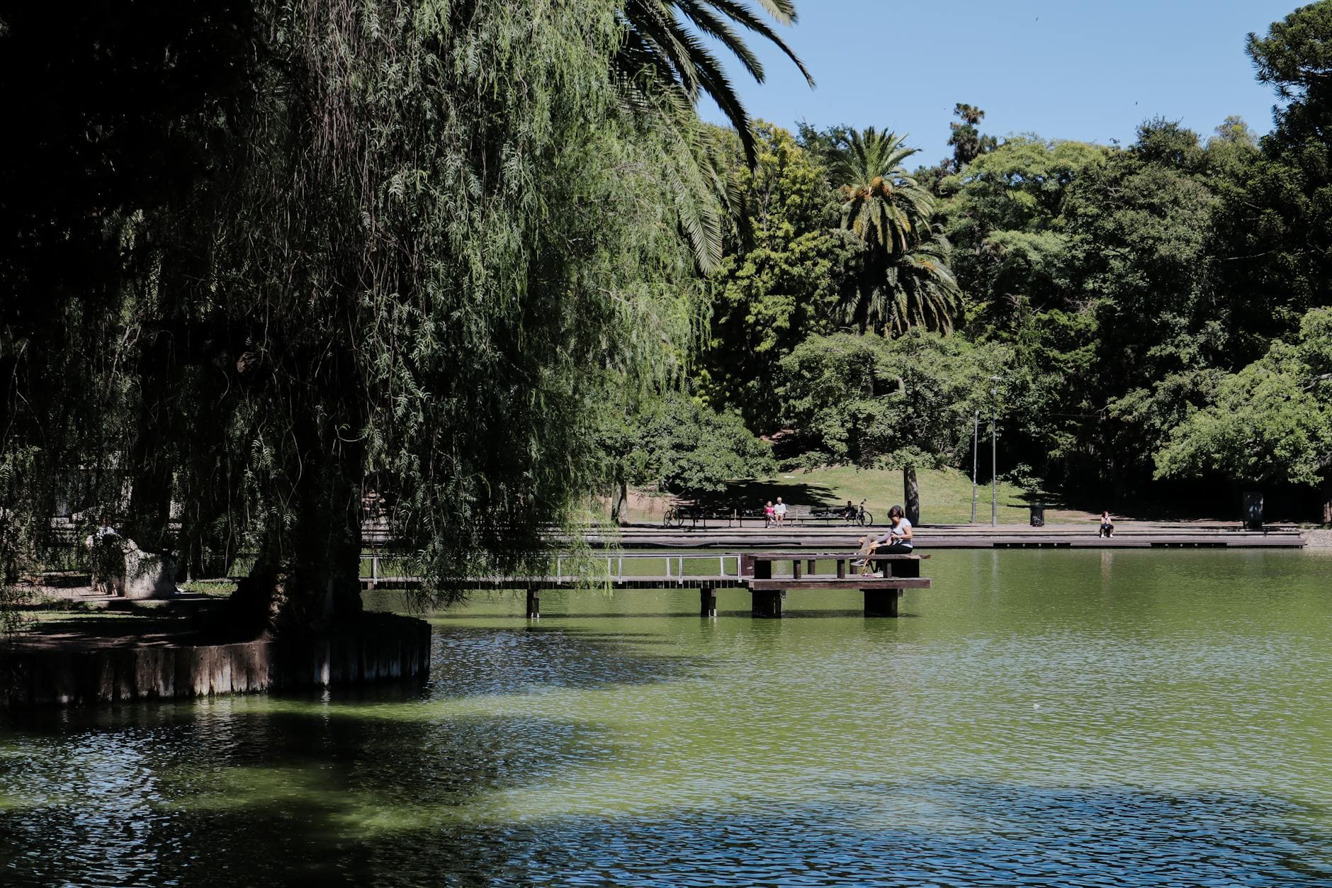 Peaceful scene of a person at a lakeside in Parque de la Independencia, Rosario. Vibrant greenery and calm waters.