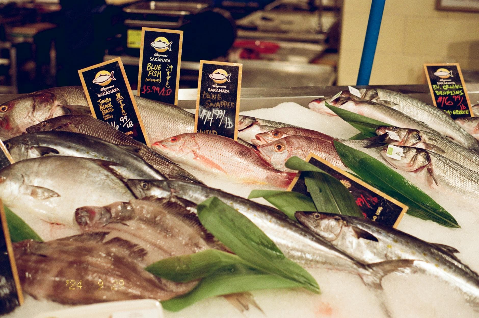 A variety of fresh fish on ice at a vibrant market, featuring price signs.