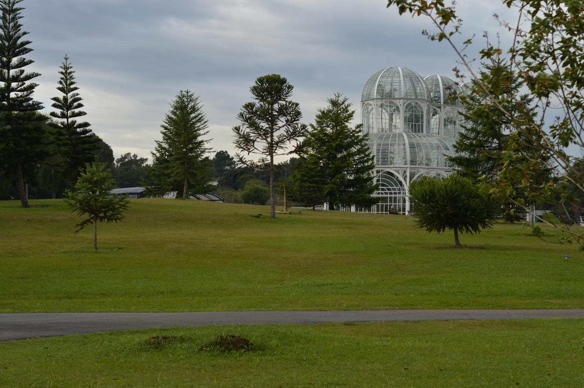 Scenic view of Curitiba's greenhouse at the Botanical Garden surrounded by lush greenery.