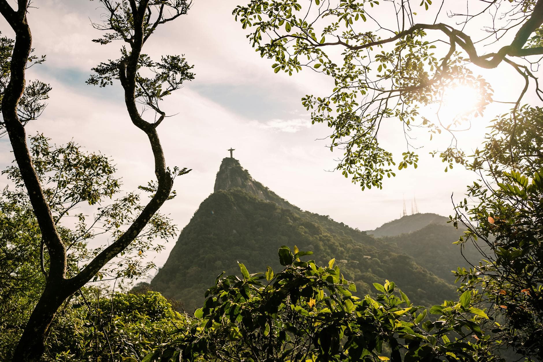 Scenic view of Christ the Redeemer statue framed by trees in Rio de Janeiro.