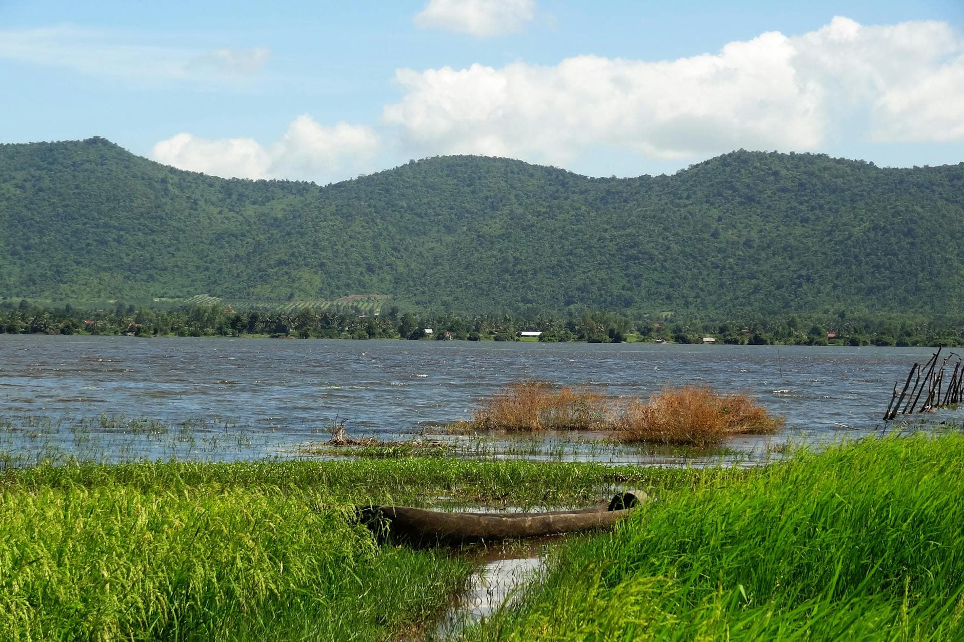 Vibrant view of Kampot River surrounded by lush greenery and hills in Cambodia.