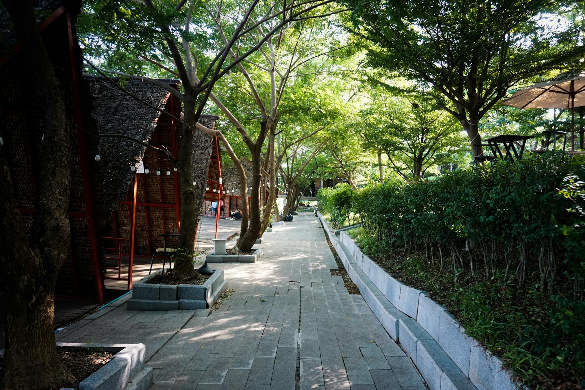 Quiet outdoor walkway lined with trees and seating, perfect for relaxation near Phnom Penh.