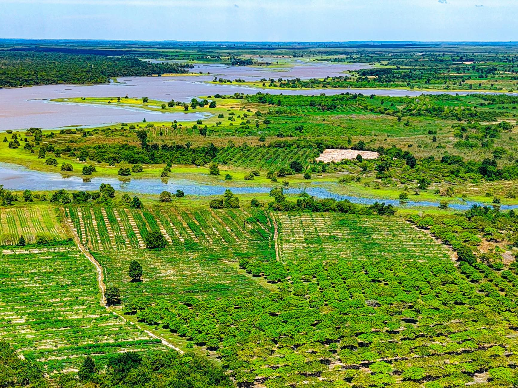 Stunning aerial shot of lush Cambodian farmland and river, showcasing vibrant greenery.