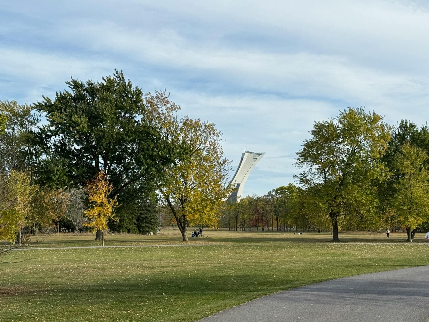Scenic autumn park with trees and skyline of Montreal's Olympic Tower in the distance.