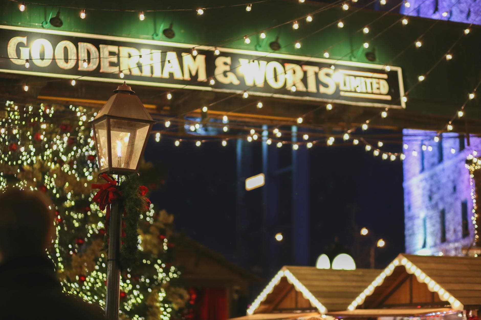 Glowing garlands hanging on signboard on street with illuminated Christmas tree and roofs on buildings placed on street on evening time during holiday celebration