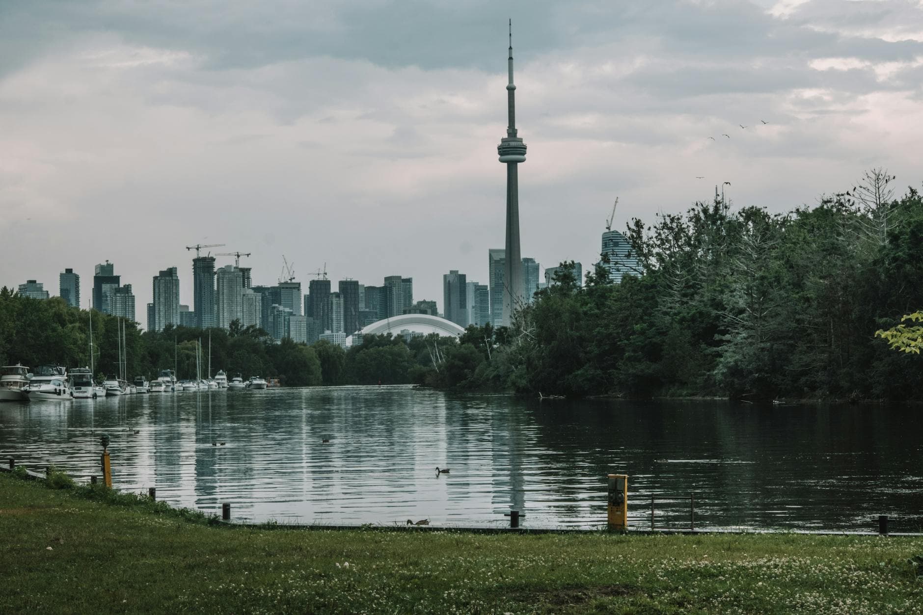 Scenic view of Toronto skyline featuring the iconic CN Tower and lush greenery on a cloudy day.