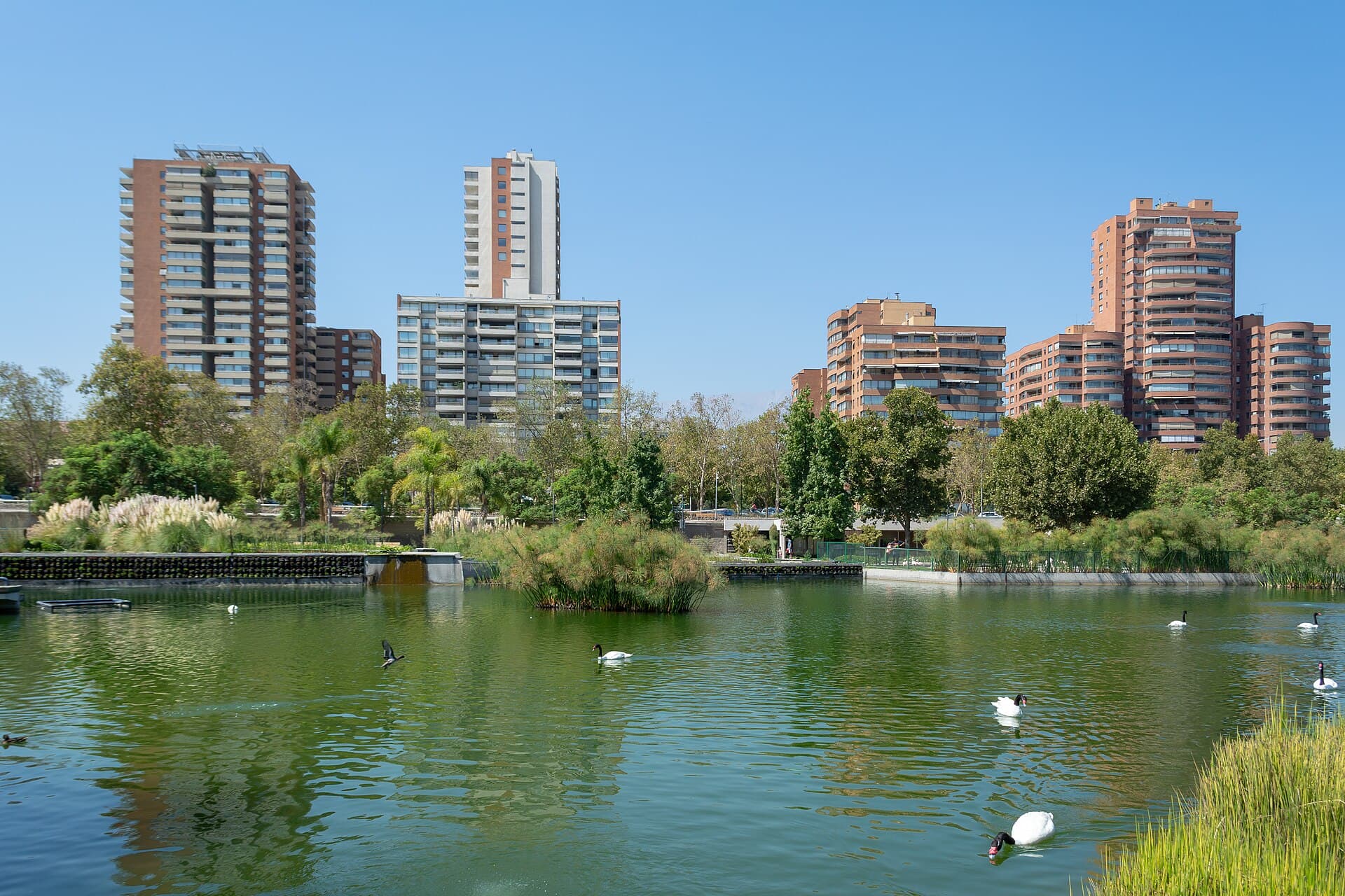 Parque Bicentenario, Vitacura, Santiago 20200314 07