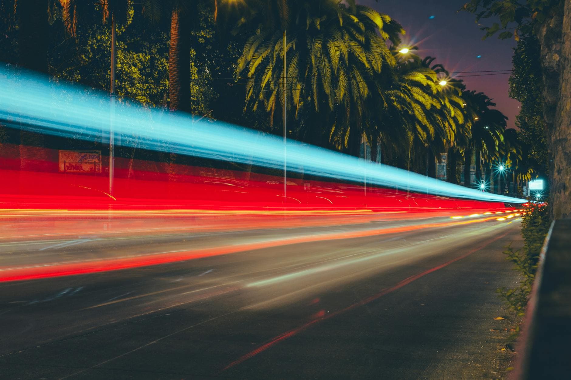 Captivating long exposure of moving light trails against palm trees in Viña del Mar, Chile.