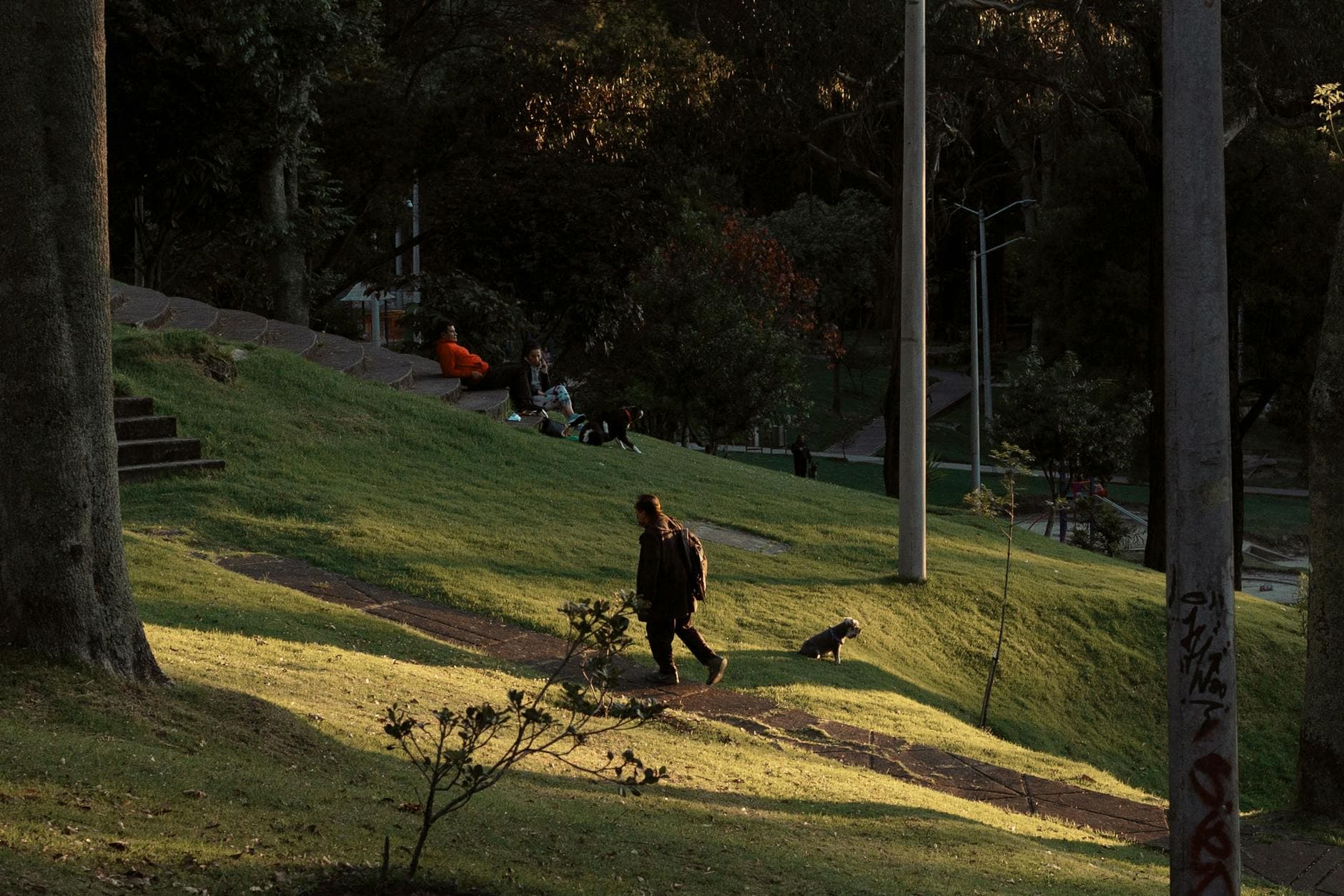 A serene scene of people walking and relaxing in a Bogotá park during sunset.