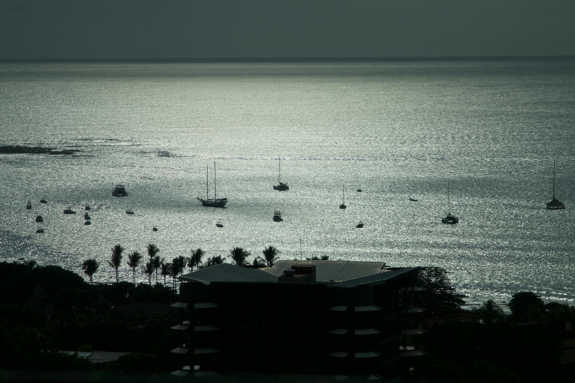 Boats anchored at sunset with silhouettes of palm trees in Tamarindo, Costa Rica.
