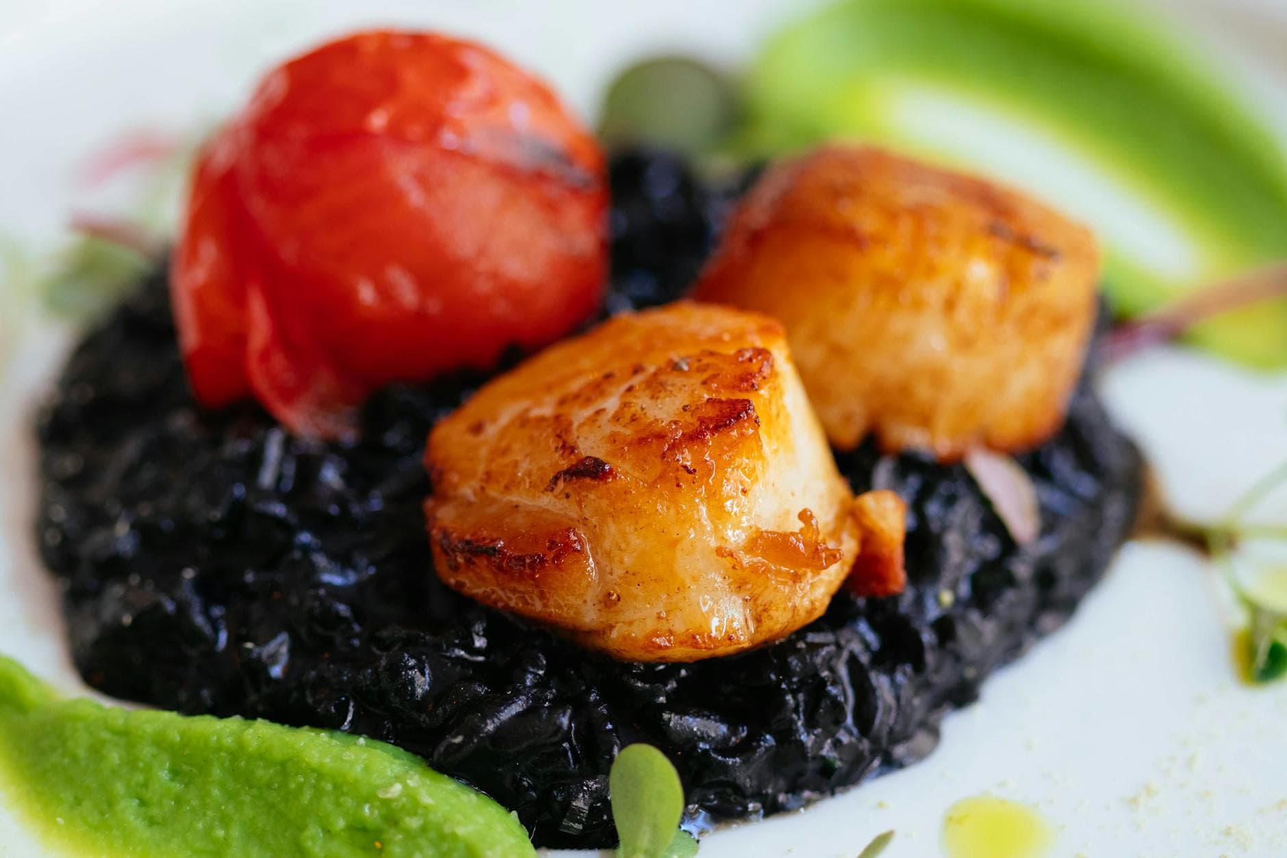Delicious gourmet scallops served on black risotto with tomato and garnish.