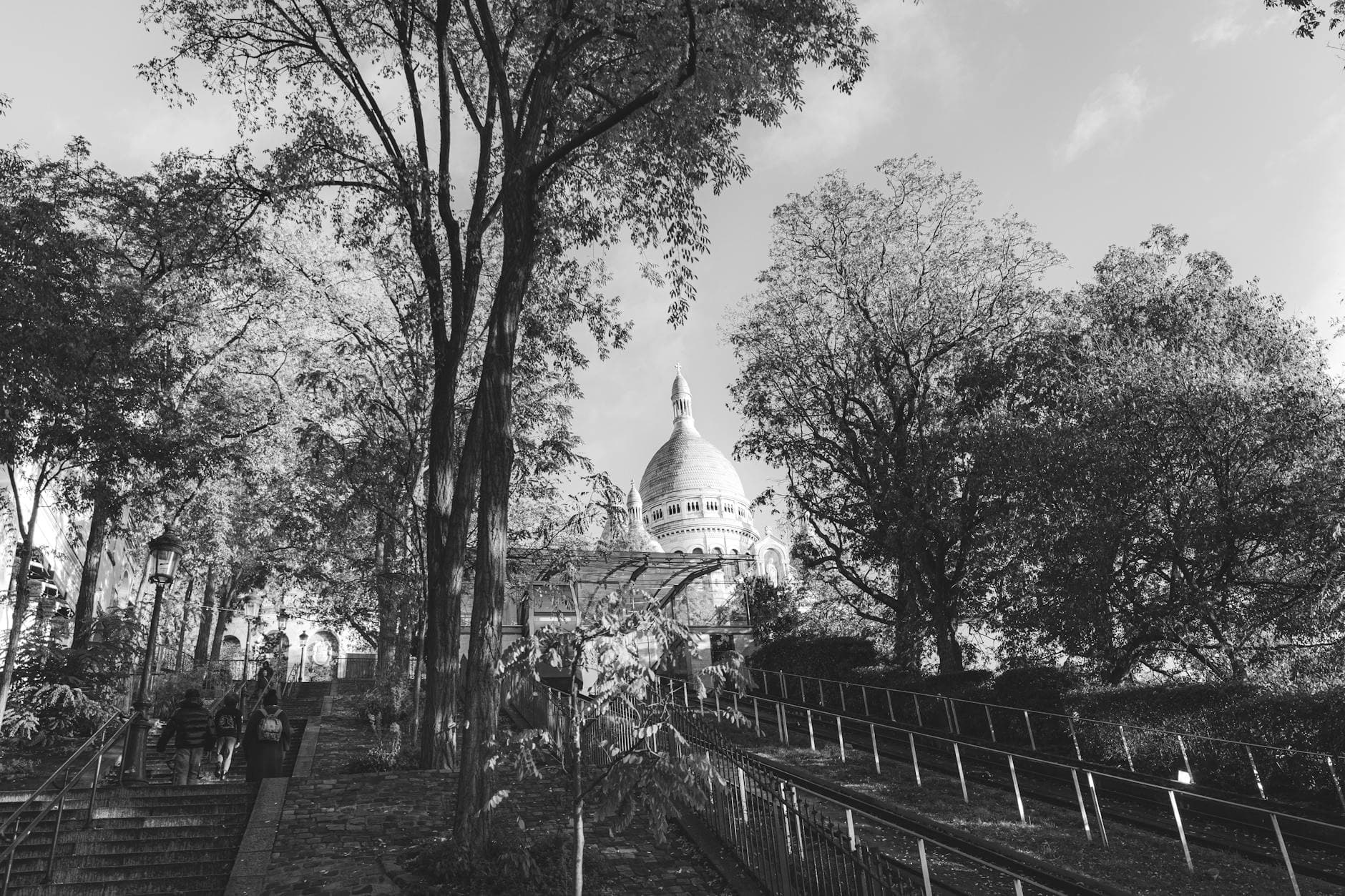 Black and white view of Sacré-Cœur Basilica surrounded by trees in Paris, France.