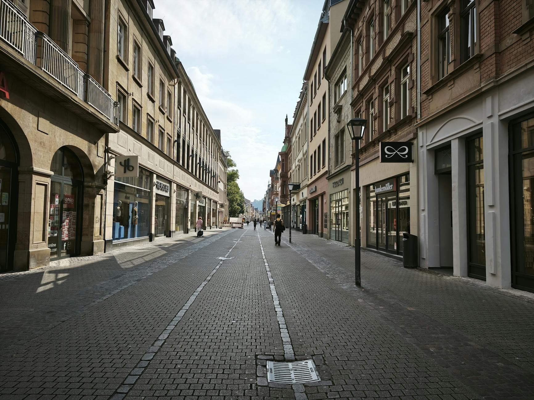 Explore the timeless charm of Heidelberg's historic street with classic German architecture.