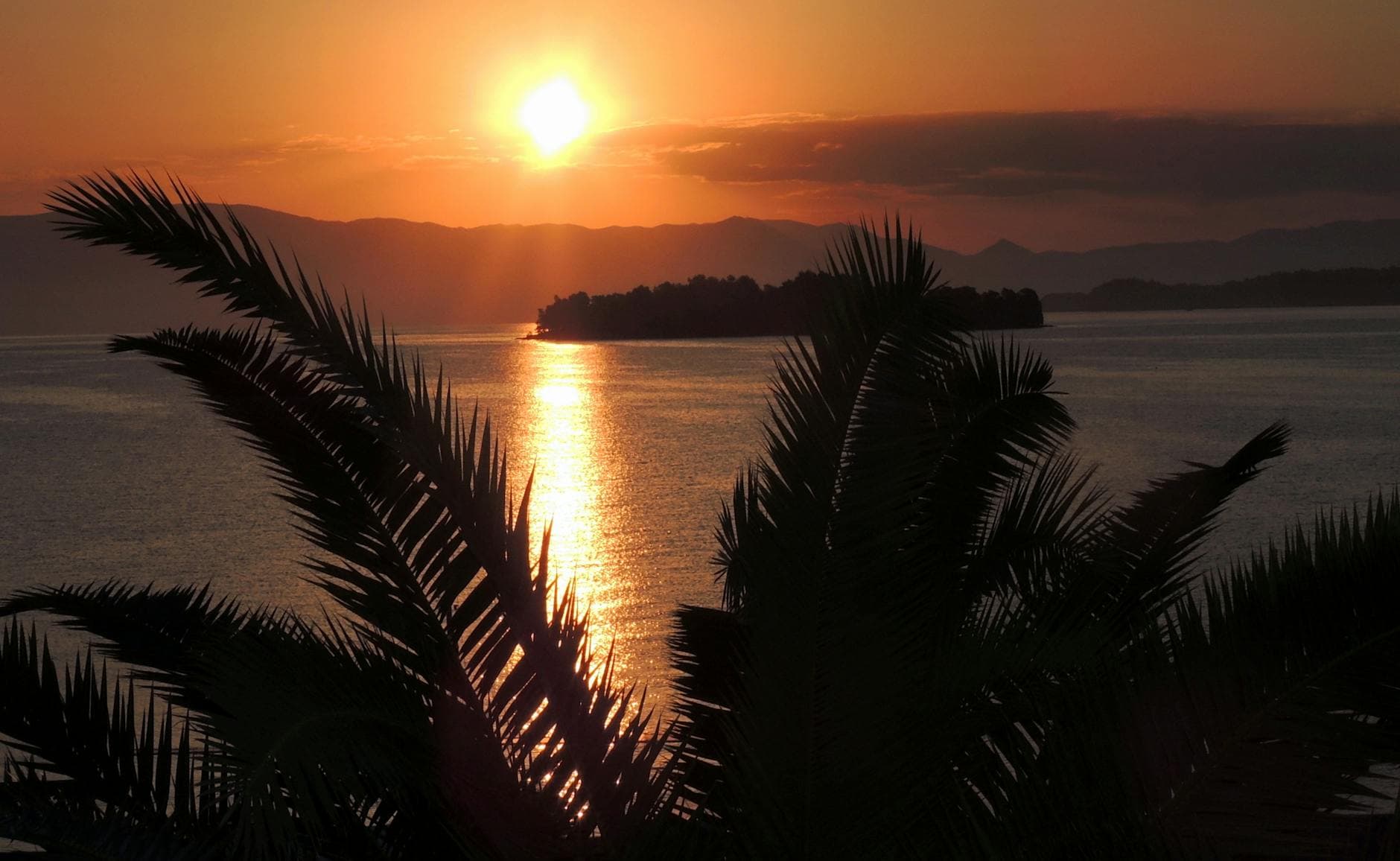 Beautiful sunset over the sea with palm trees in Korfu, Greece.