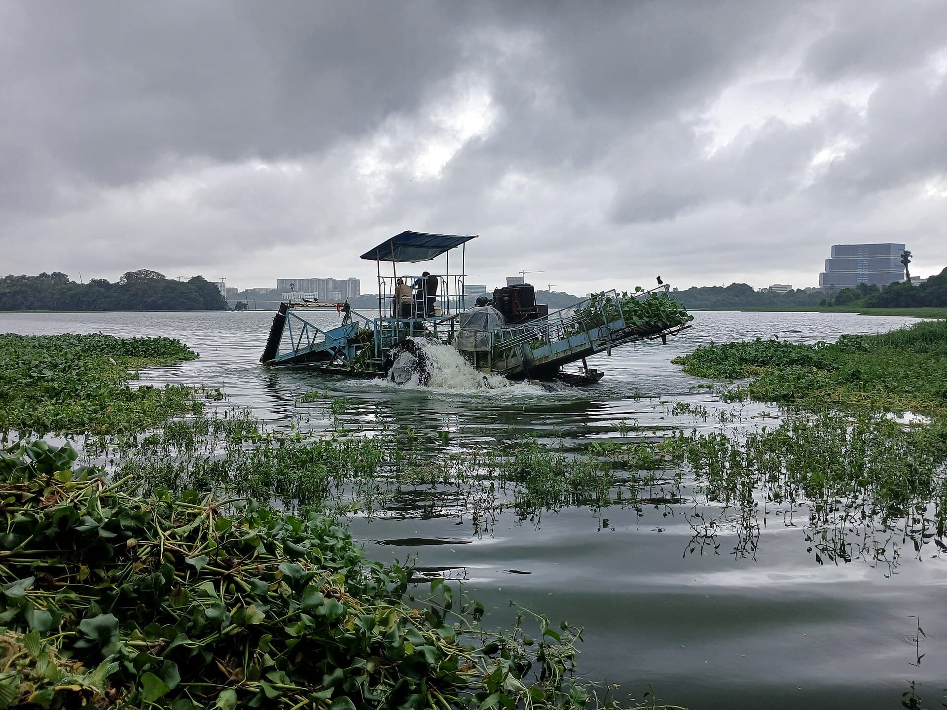 Machine cleaning water weed in Powai Lake, Mumbai.