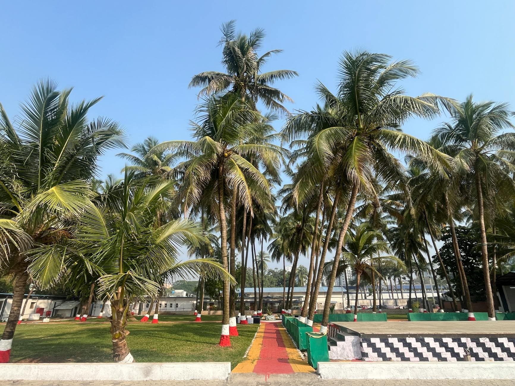 Peaceful garden with tall palm trees under a bright blue sky in Mumbai, India.