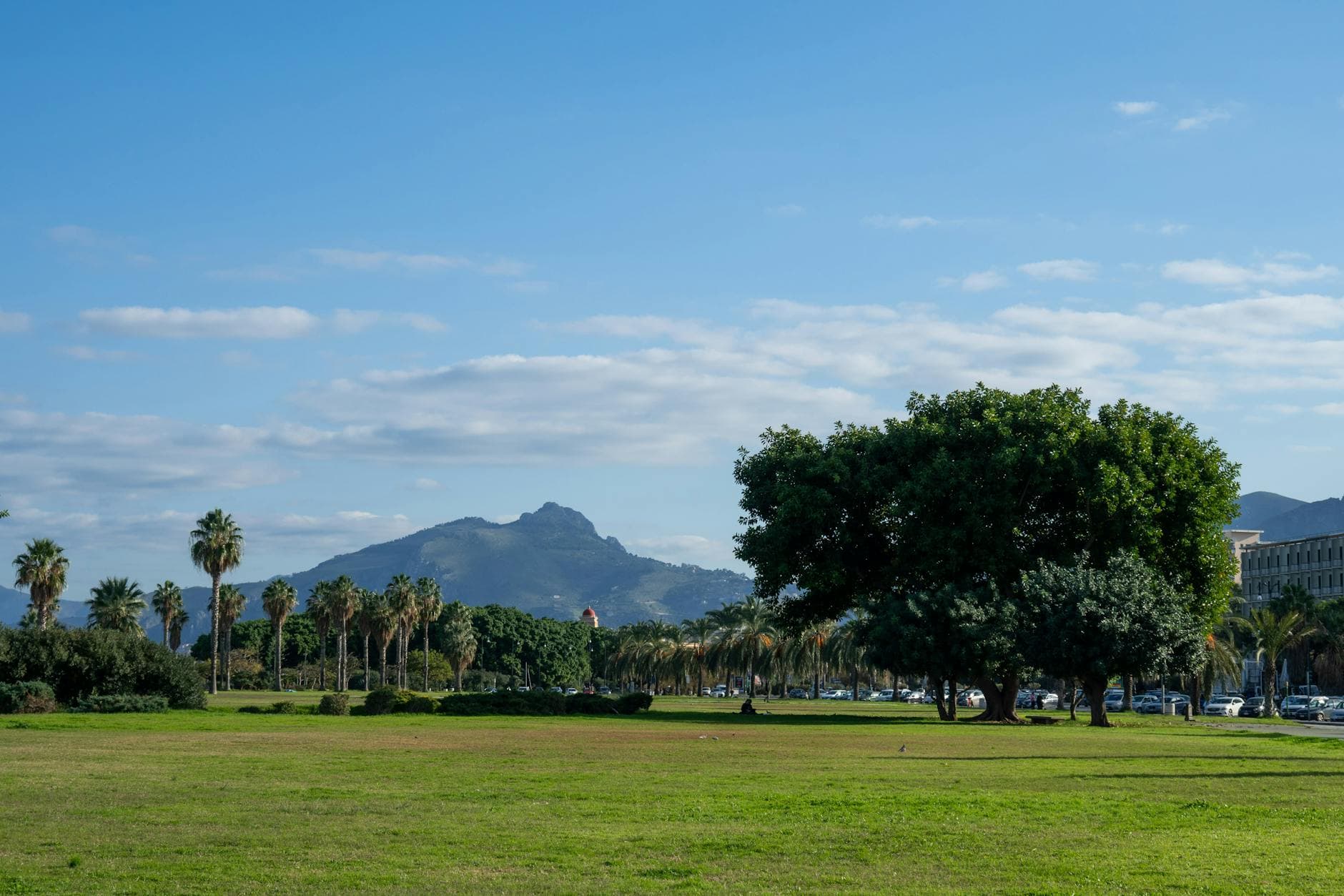 A scenic view of trees and mountains under a blue sky in Palermo, Italy.