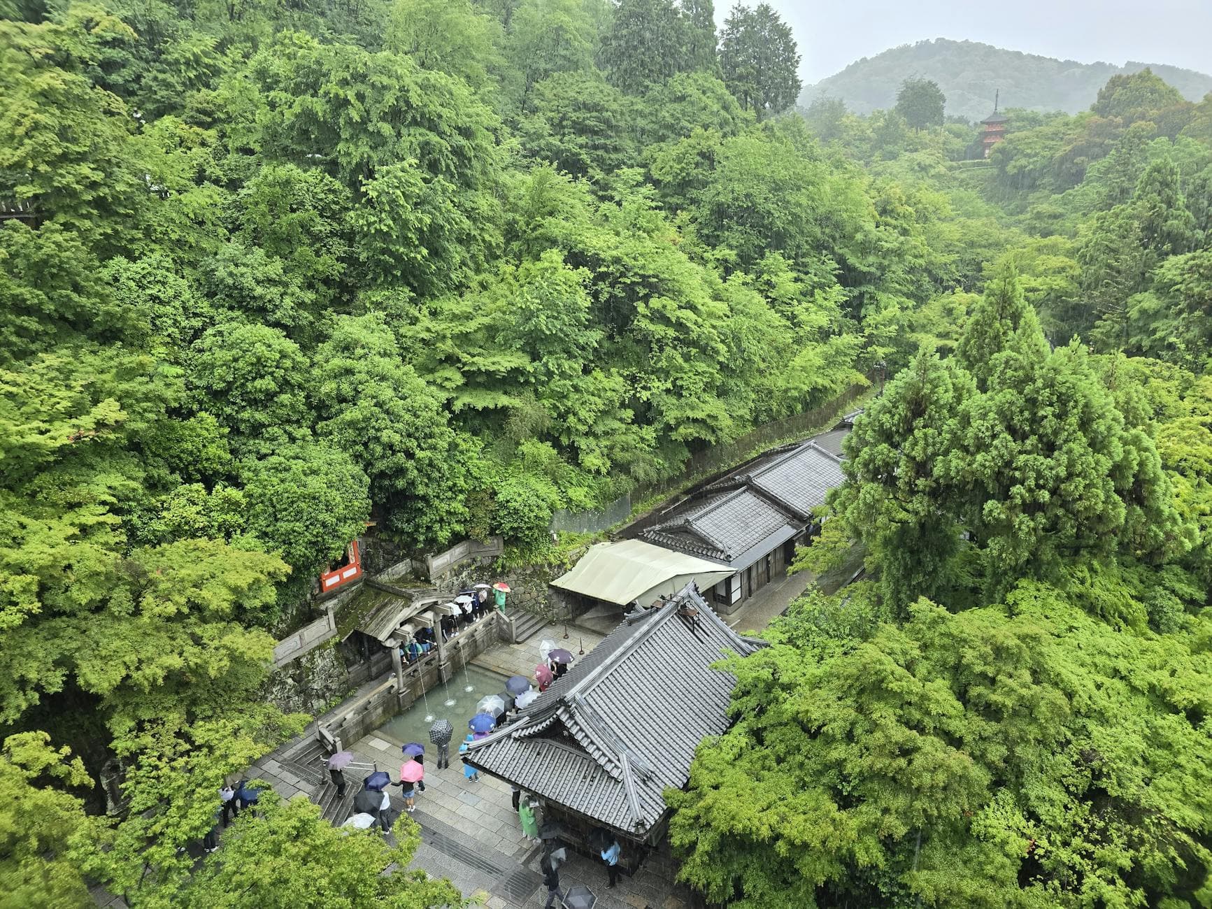 Aerial view of lush greenery surrounding Kiyomizu-dera Temple in Kyoto, Japan.