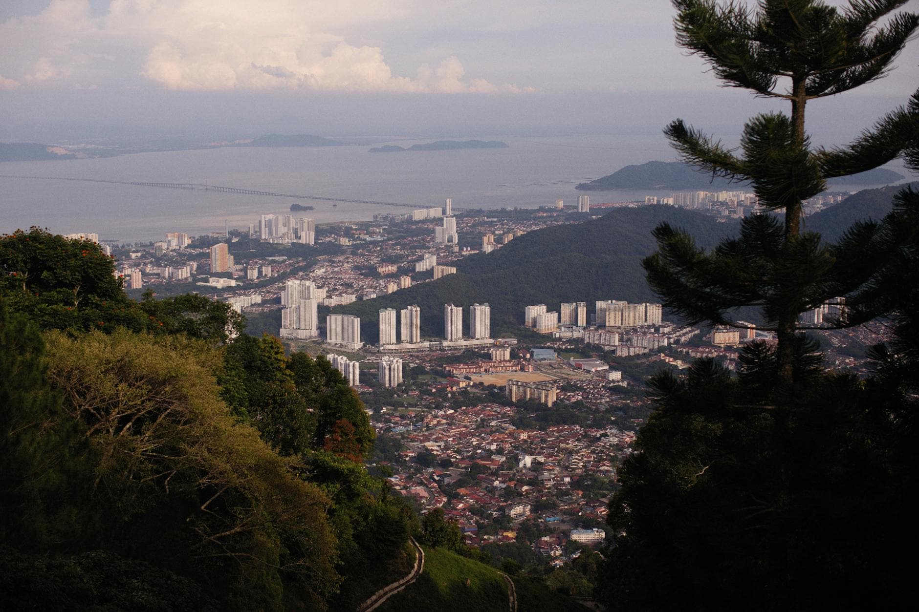Stunning aerial cityscape captured from a lush green hilltop overlooking the sea.