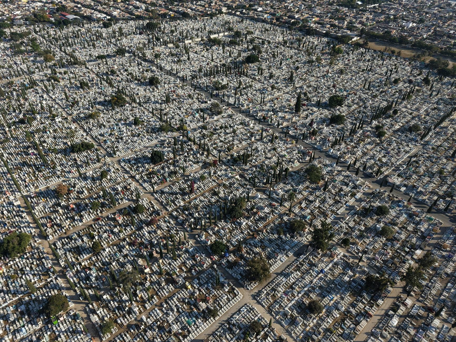Expansive aerial view of a cemetery landscape in Guadalajara, showcasing intricate grave patterns and lush greenery.