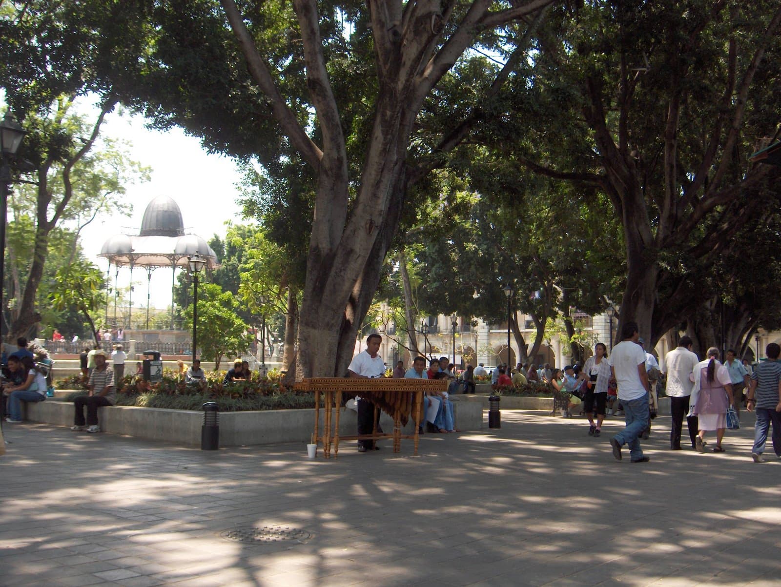 Zócalo-Oaxaca-Mayo2008