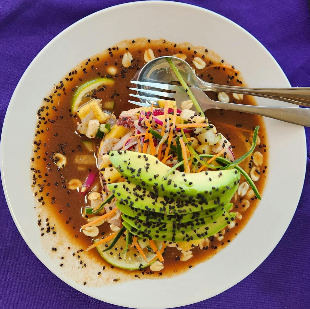Colorful ceviche with avocado, fresh vegetables, and rich sauce, perfect for food lovers.
