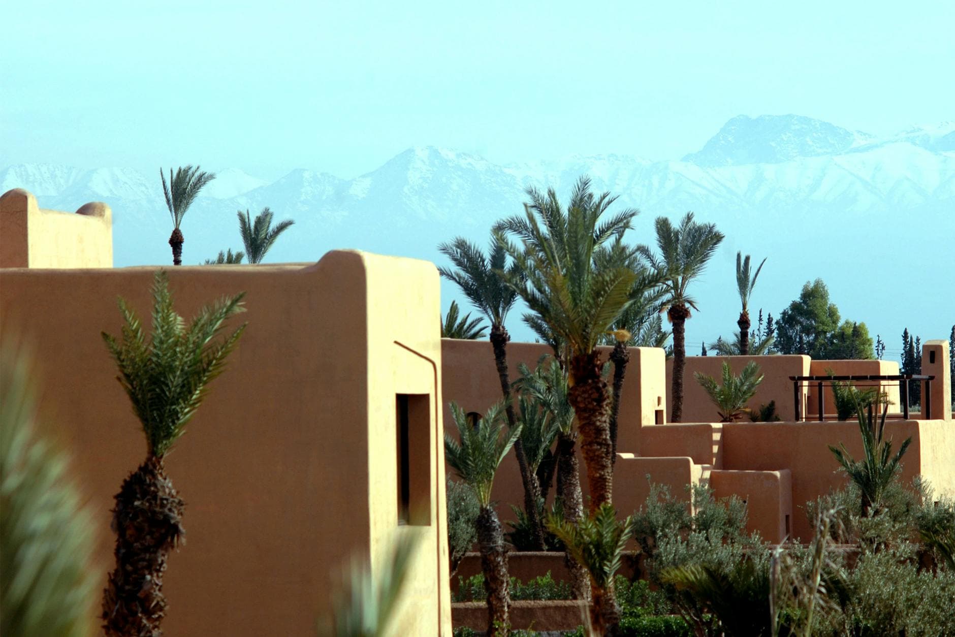 Traditional architecture in Marrakech with palm trees and mountains.