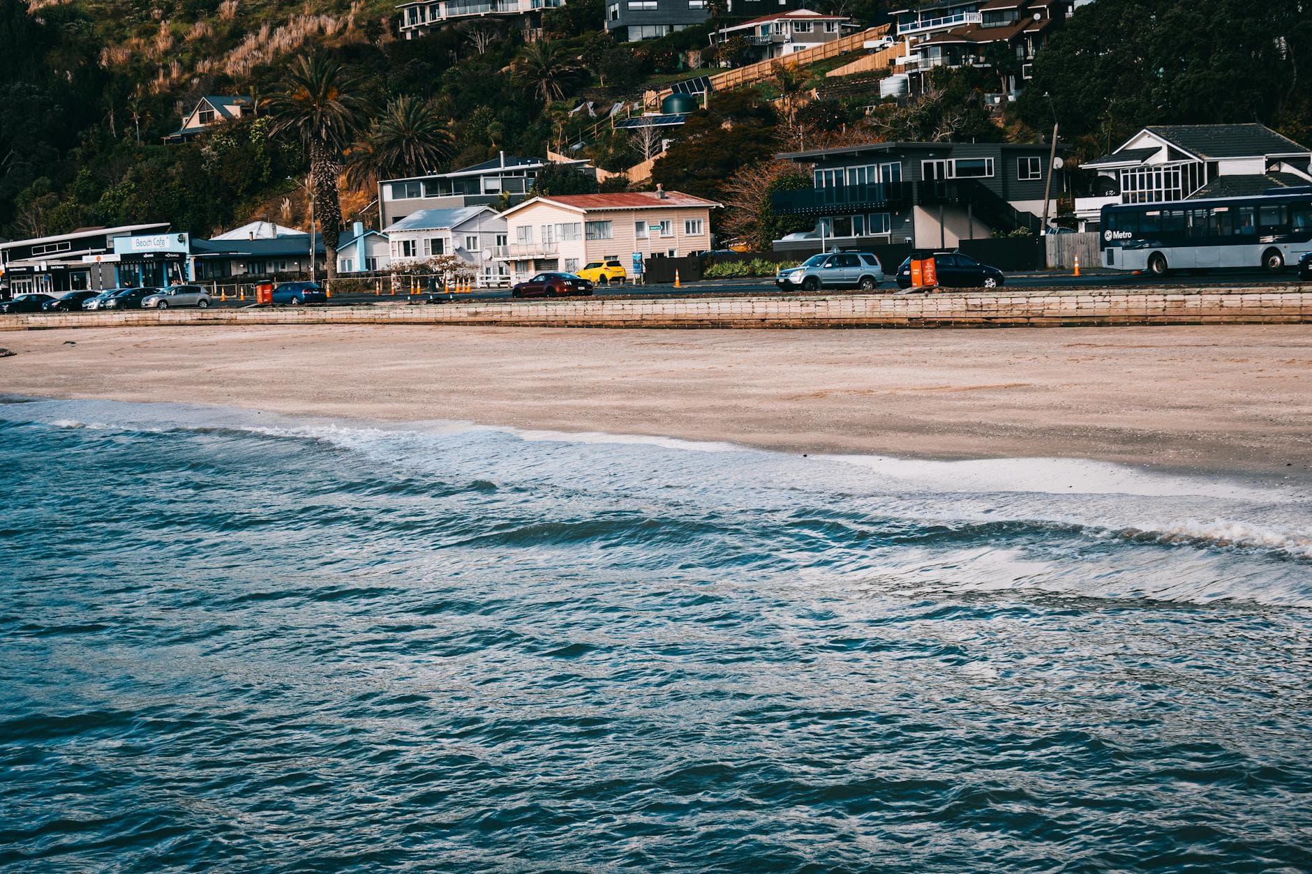 A picturesque view of Auckland's sandy beach with seaside homes lining the coast.