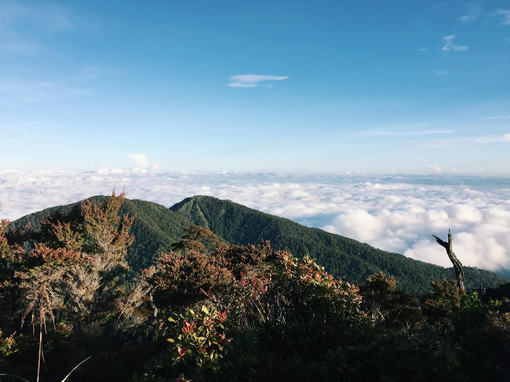 Stunning mountain peak view above a sea of clouds in Talakag, Philippines.