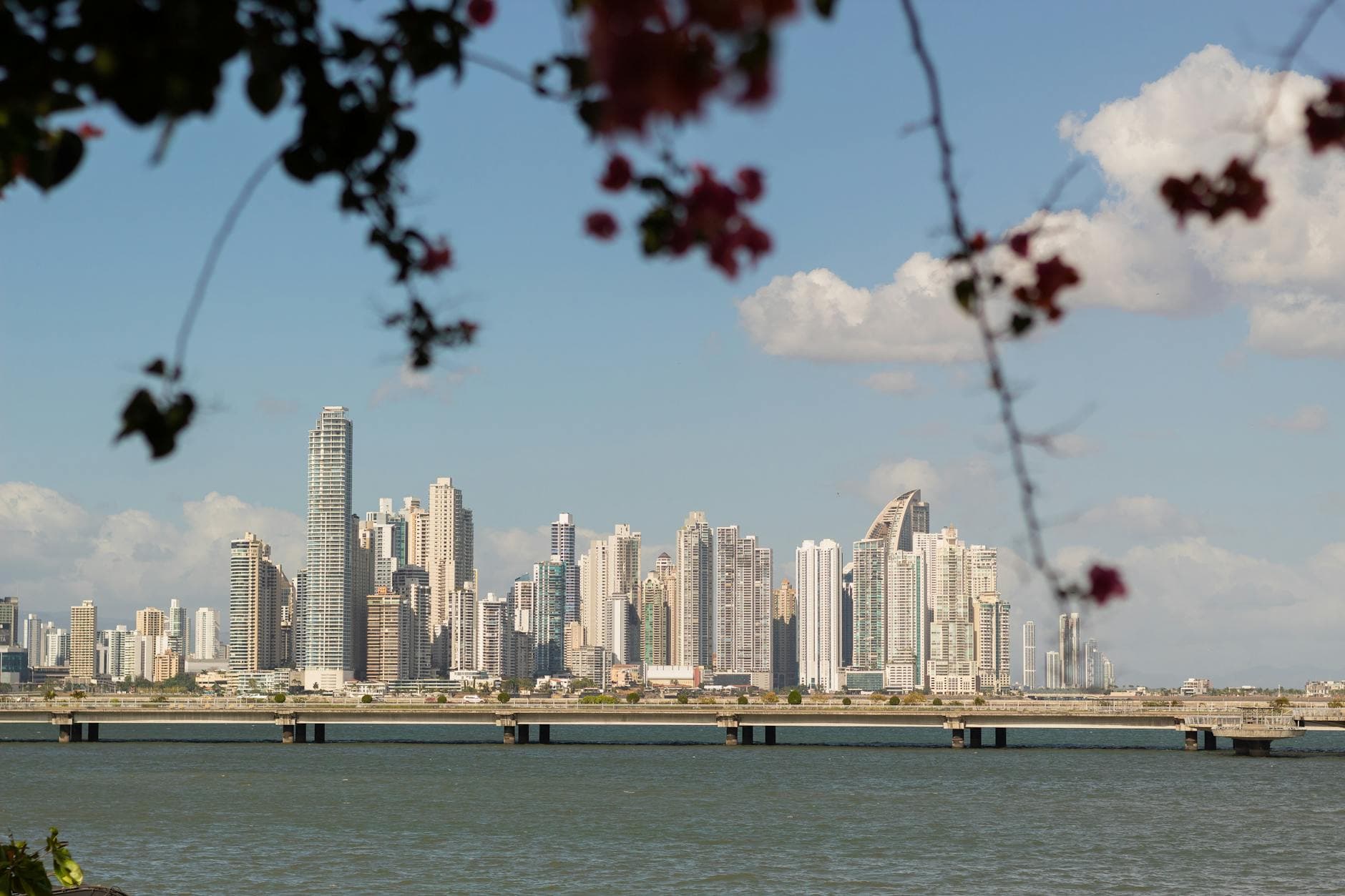 Panama City skyline viewed across the water, framed by vibrant floral branches.