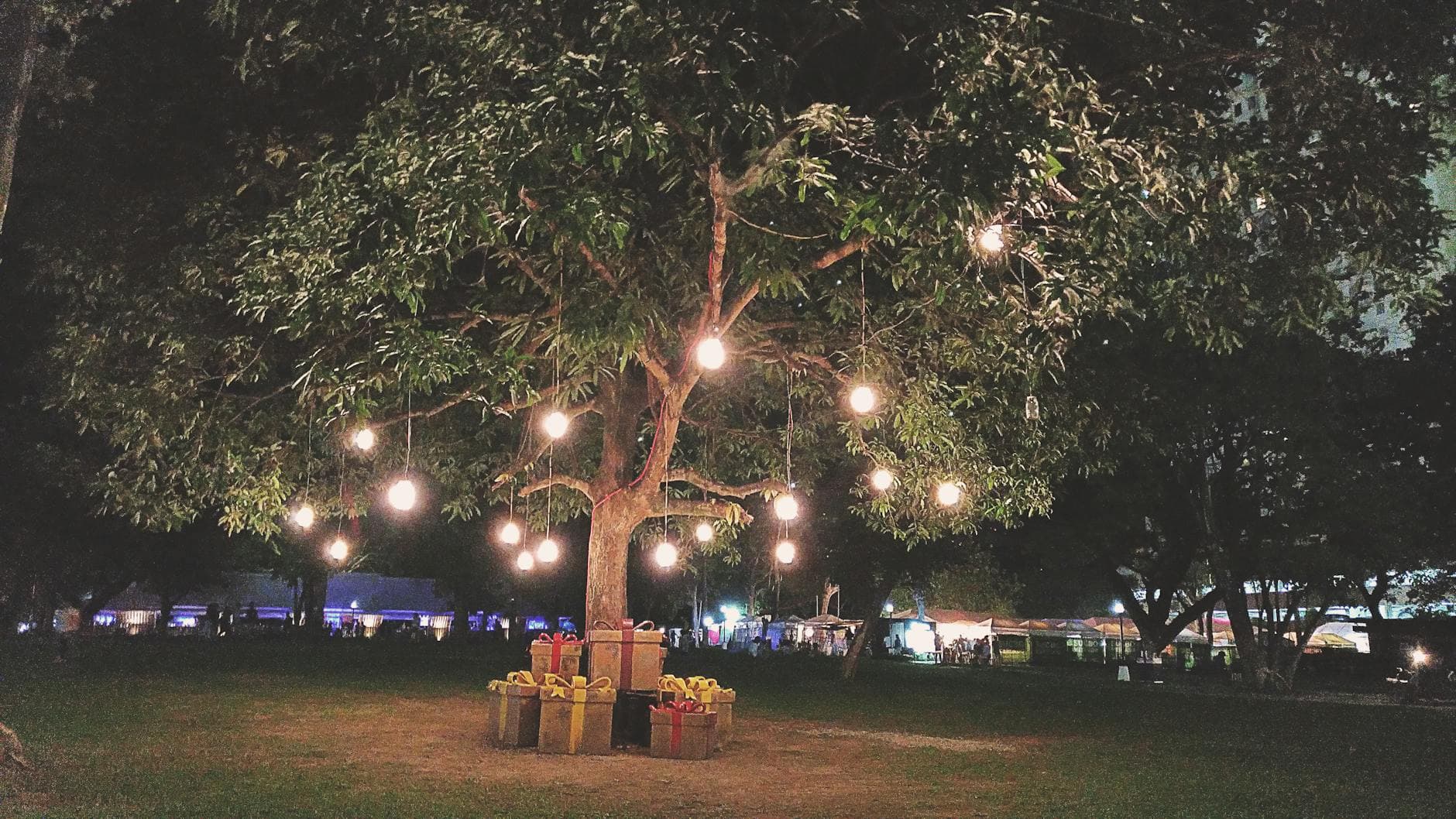 Glowing tree with hanging lights and gifts underneath in a Cebu City park at night.