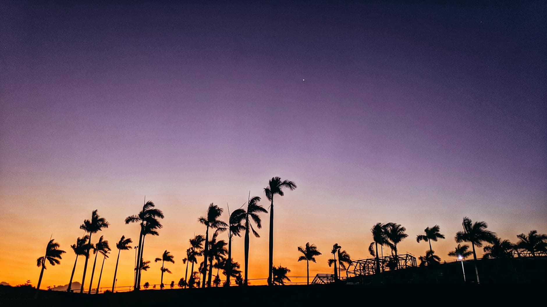 Stunning silhouette of palm trees at sunset with a vivid sky in the background.