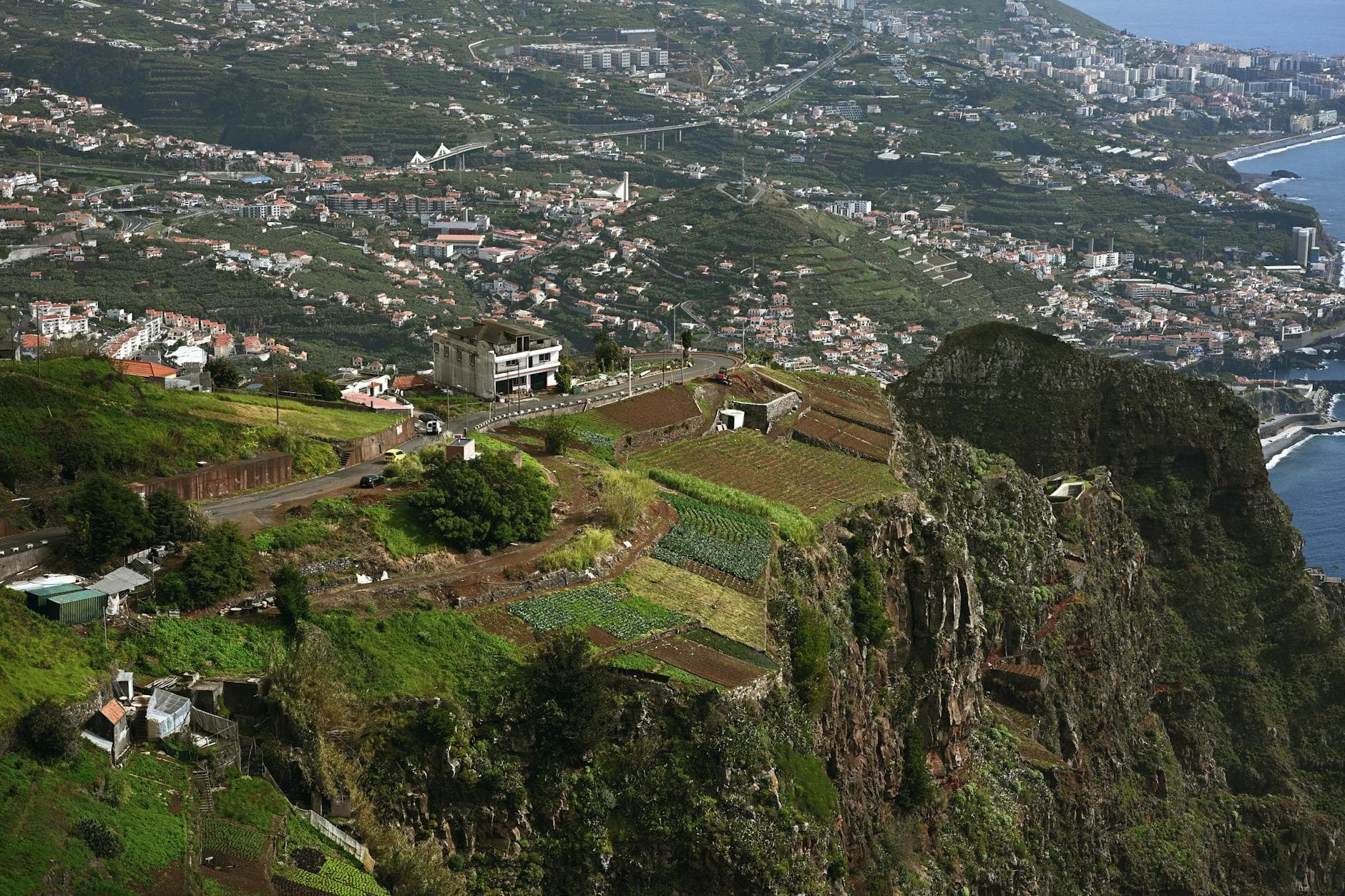 A breathtaking view of Madeira Island's towering cliffs and lush terraced agriculture against the Atlantic Ocean backdrop.