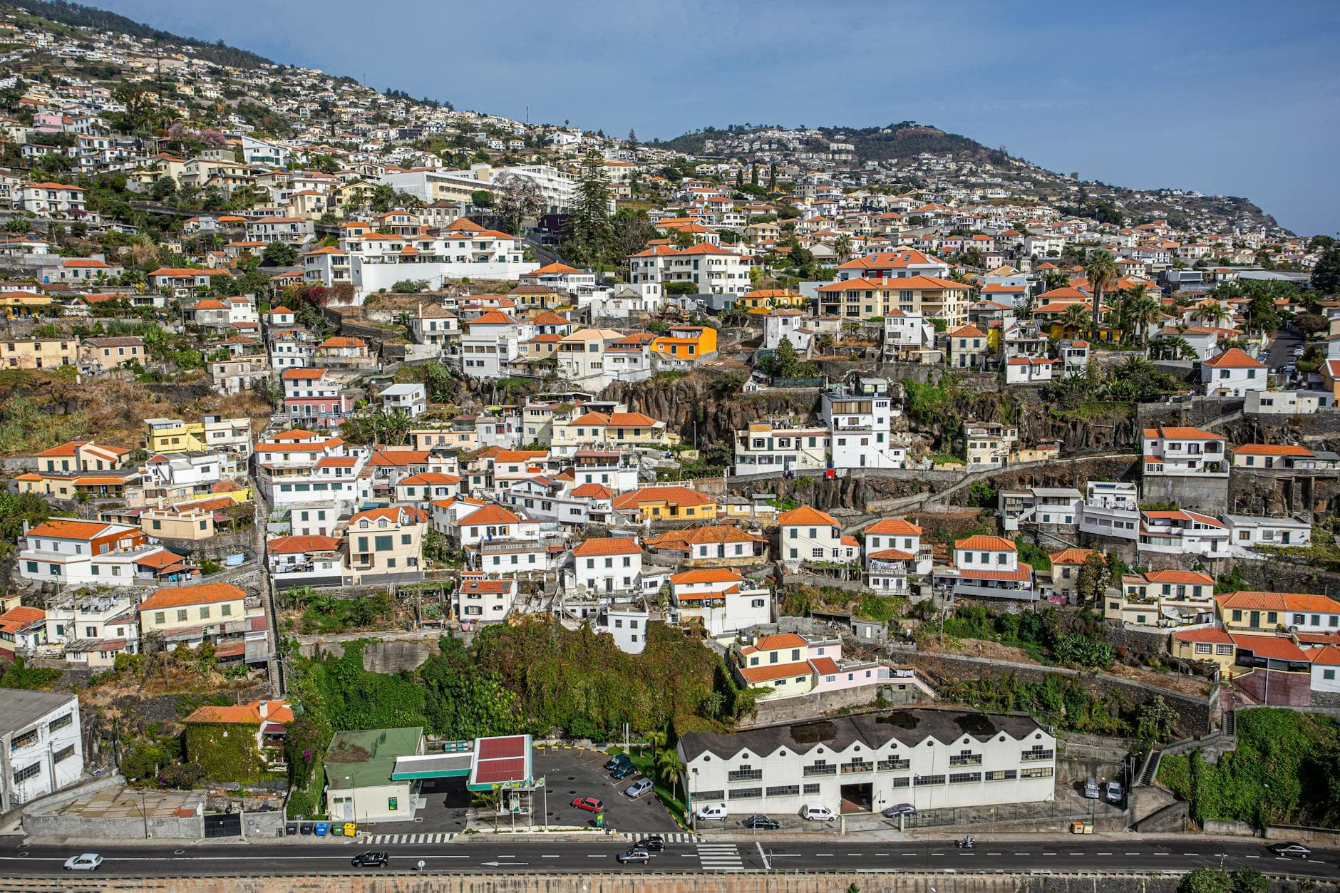 A vibrant aerial shot of Funchal in Madeira, showcasing colorful rooftops and urban density.