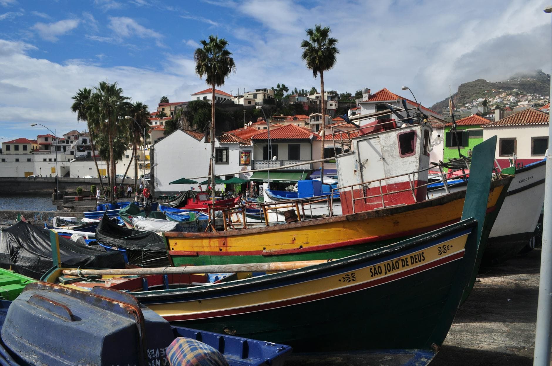 Vibrant fishing boats in a scenic coastal town with palm trees and red-roofed buildings.