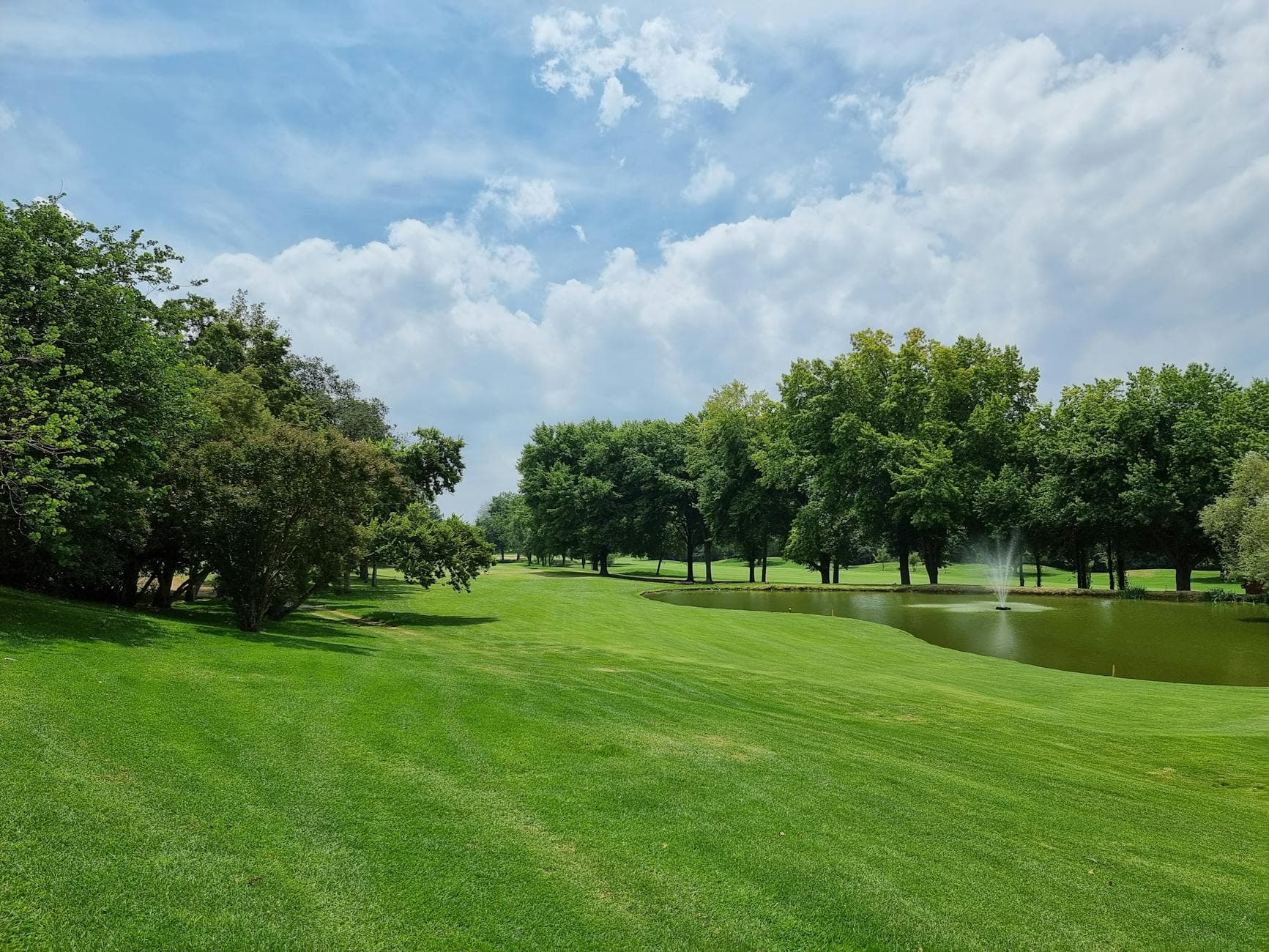 A vibrant park scene with lush greenery and a serene pond in Johannesburg, South Africa.