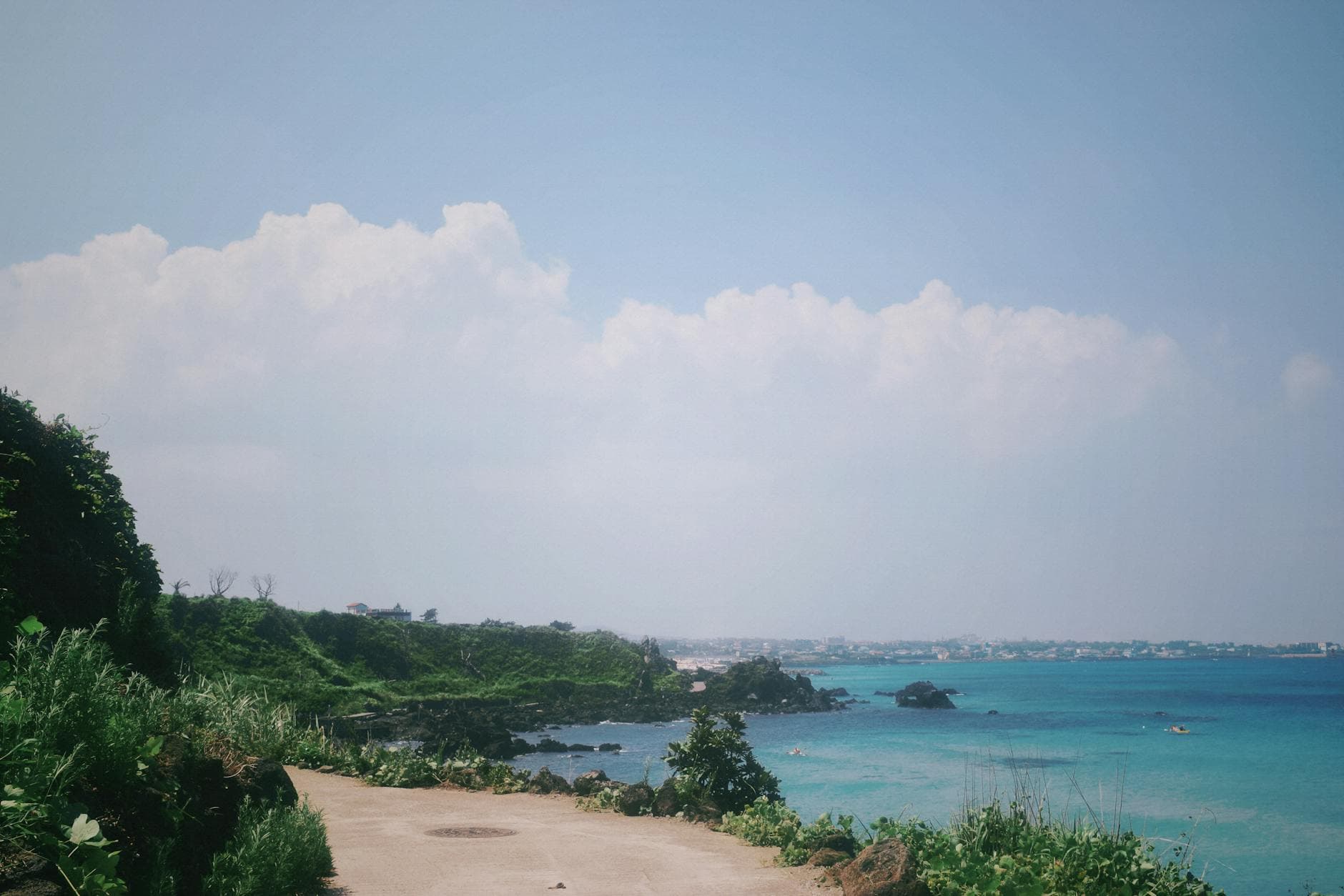 Beautiful coastal view with lush greenery and blue sea in Jeju, South Korea.