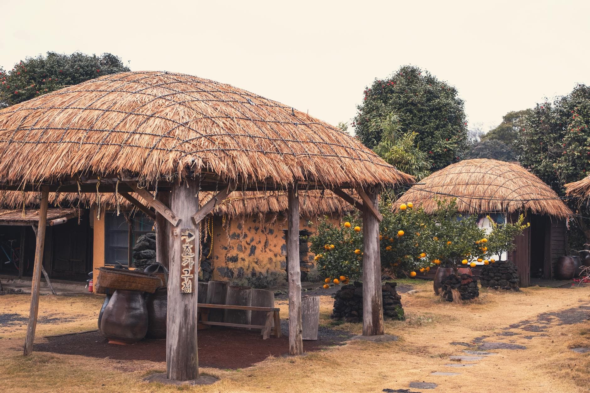Explore a traditional Jeju village featuring thatched huts and lush orange trees, capturing rural Korean culture.