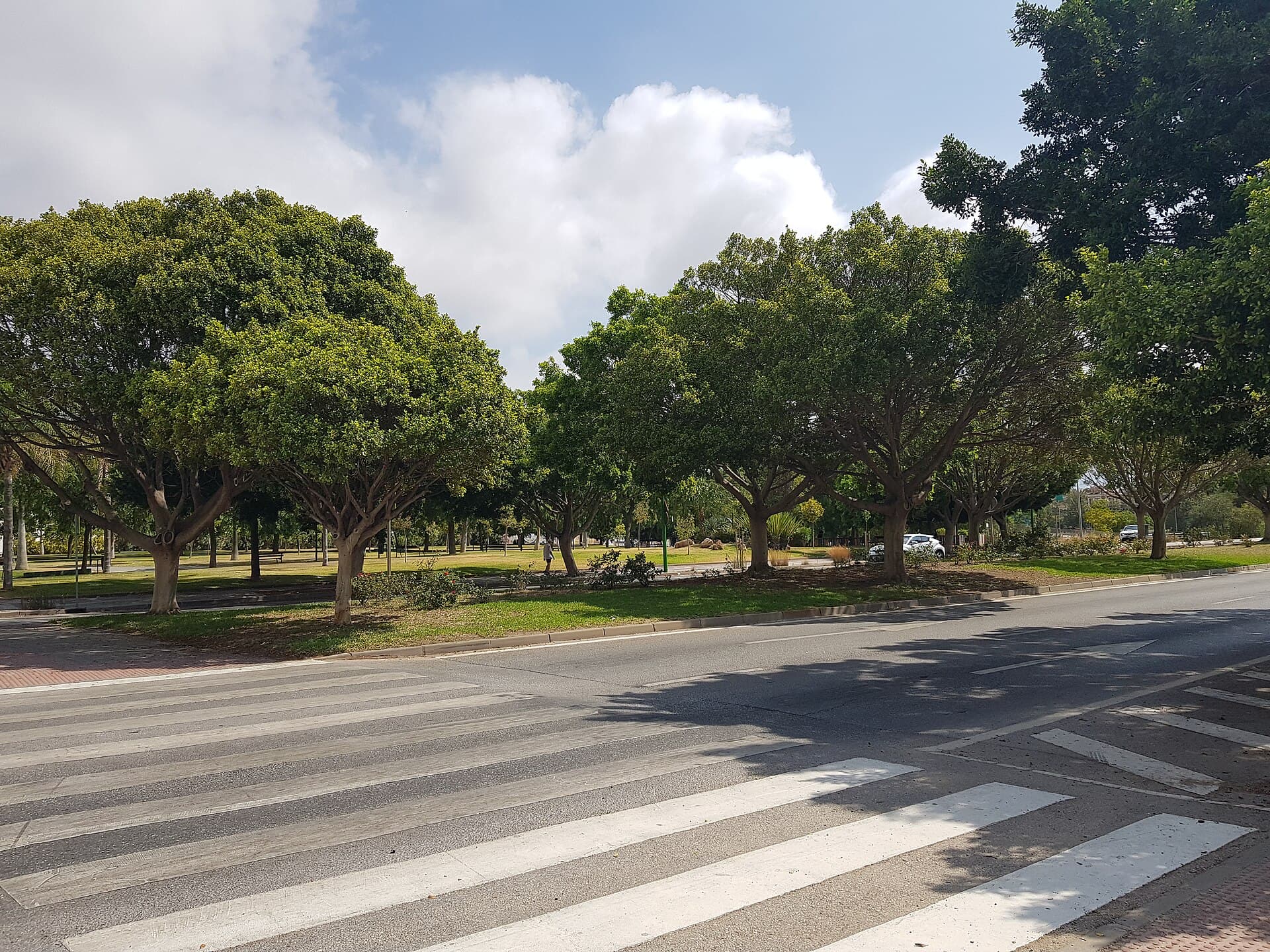 Park in Teatinos Málaga 20240727 115734