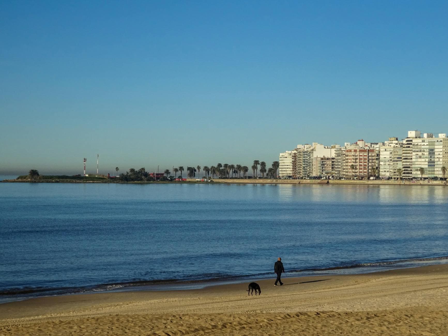 Scenic view of Montevideo's coastline with a lone walker and dog on the beach.