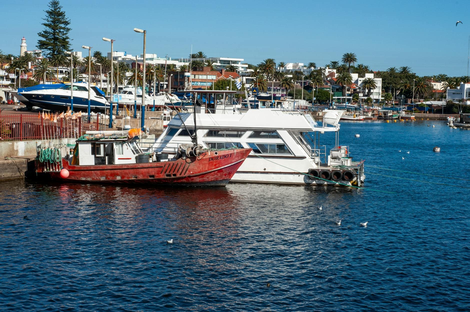 A tranquil harbor scene with moored boats and a scenic backdrop of buildings and palm trees, capturing a peaceful vacation vibe.
