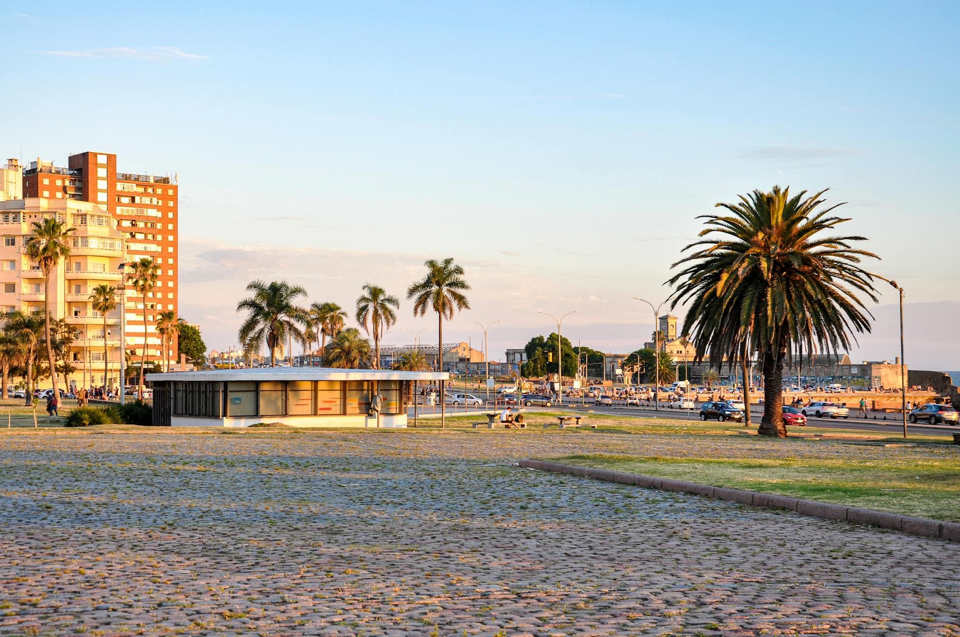 A beautiful evening view of the Rambla in Montevideo, Uruguay, with palm trees and cityscape.